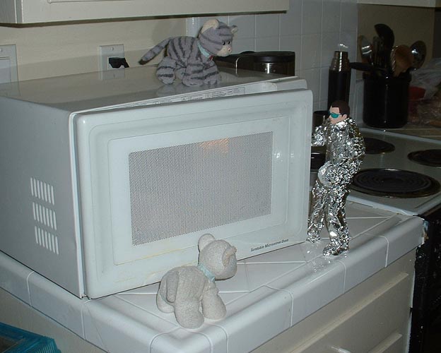 foil in the microwave