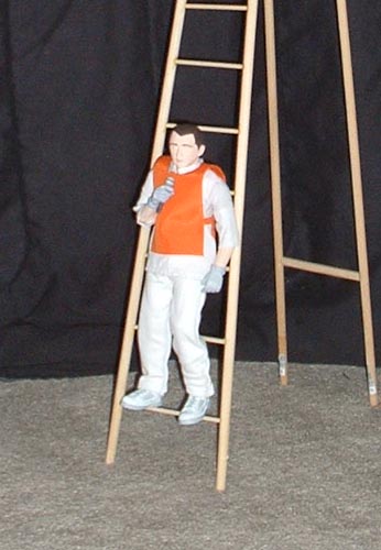 singing on ladder